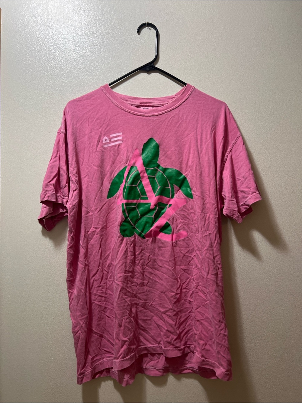 Delta Zeta Graphic Tee with Green Turtle Design